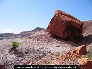 Paria Road (Utah - USA)