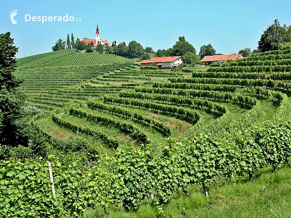 Jeruzalémská vinařská oblast (Slovinsko)