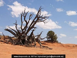 Devil's Garden (Utah - USA)