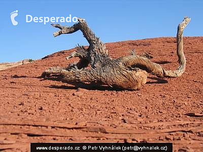 Národní park Canyonlands (Utah - USA)