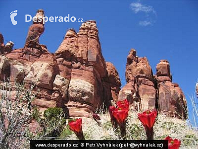 Národní park Canyonlands (Utah - USA)