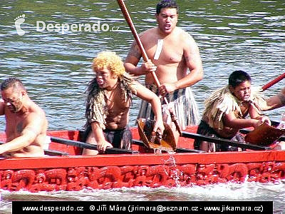 Maoři při slavnosti (Nový Zéland)
