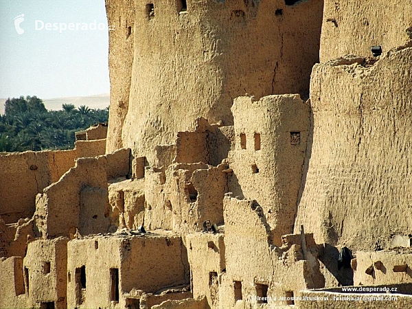Citadela v oáze Siwa (Egypt)
