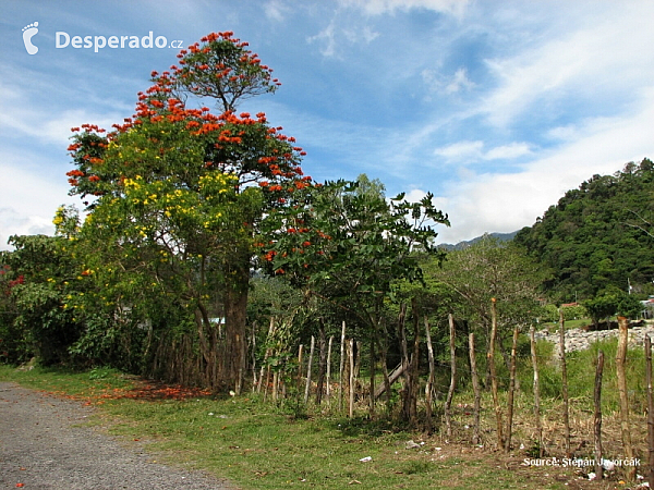 Boquete (Panama)