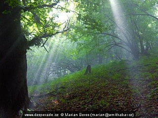 Cesta hrdinů SNP (Slovensko)