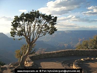 Americká poušť (USA)