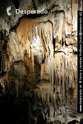 Postojnska jama (Slovinsko)