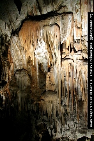 Postojnska jama (Slovinsko)