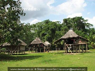 Rancho Frio (Darien - Panama)