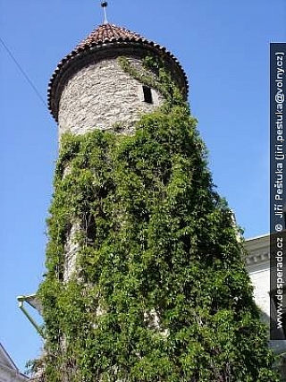 Historické centrum Tallinnu (Estonsko)