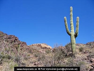 Pouštní krajina na hranicích Arizony a Mexika (USA)