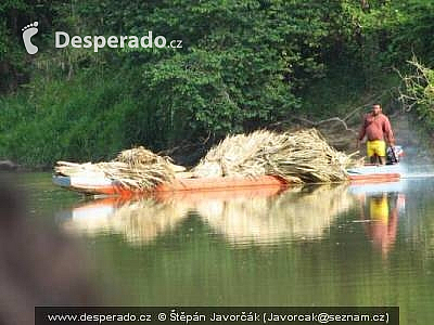 Rancho Frio, El Real, Yaviza (Darien - Panama)