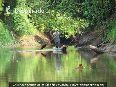 Rancho Frio, El Real, Yaviza (Darien - Panama)