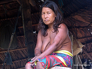 Rancho Frio (Darien - Panama)