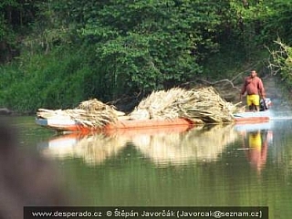 Rancho Frio, El Real, Yaviza (Darien - Panama)