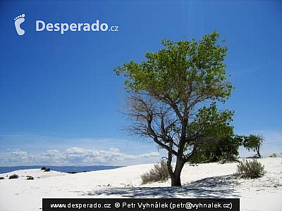 White Sands (New Mexico - USA)