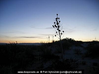 White Sands (New Mexico - USA)