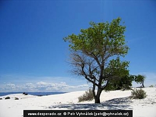 White Sands (New Mexico - USA)