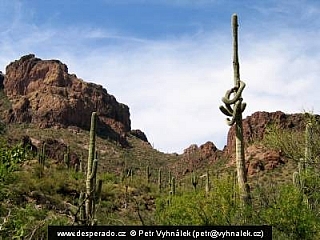Apache Trail (Arizona - USA)