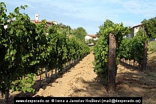 Goriška Brda (Slovinsko)