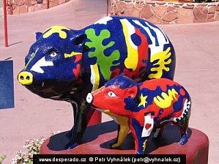 Sedona a Národní park Grand Canyon (Arizona - USA)