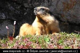 Nanga Parbat – Himálaj (Pákistán)