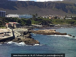 Hermanus - pozorování velryb (Jihoafrická republika)