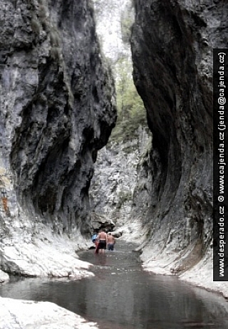 Trascauské hory (Rumunsko)