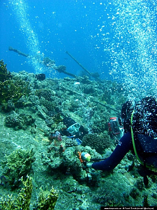 Potápění - Rudé moře (Egypt)