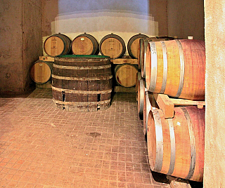 Valtice jsou centrem vinařství na Moravě (Česká republika)