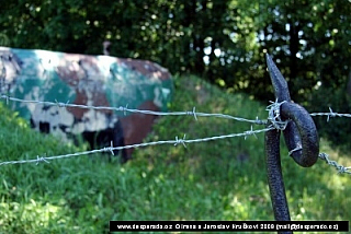 Vojenský bunkr Vranov nad Dyjí (Česká republika)