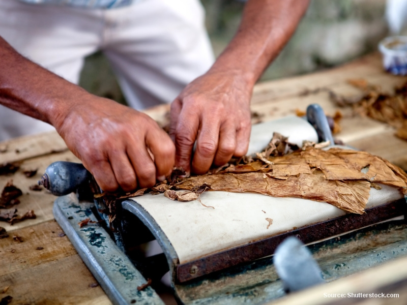 Výroba doutníků na Kubě