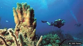 Potápění v oblasti Cayo Coco je jedno z nejlepších v Karibiku