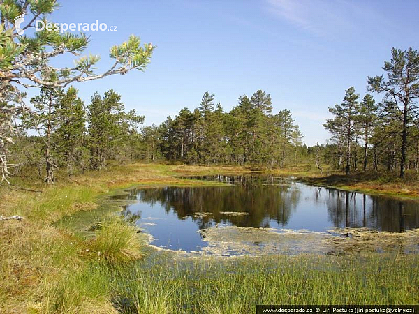 Národní park Lahemaa (Estonsko)