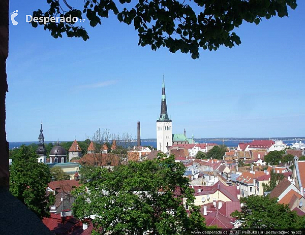 Tallinn (Estonsko)