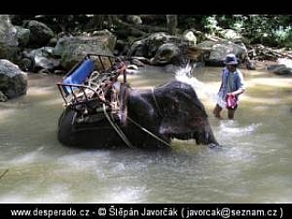 Ostrov Samui (Thajsko)