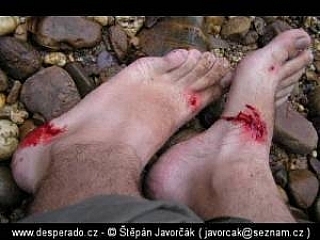 Trek v džungli (Malajsie)