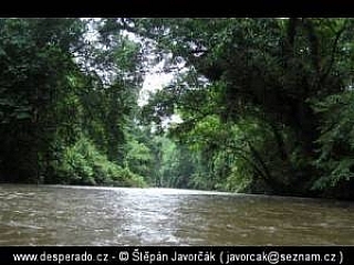 Trek v džungli (Malajsie)