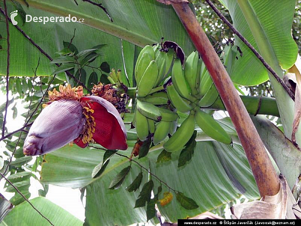 Rio Tatin (Guatemala)